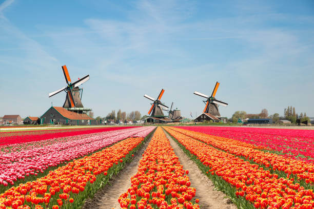 Is the Netherlands a Good Place to Live?